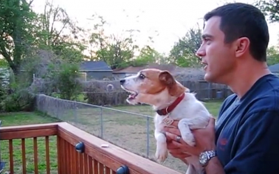 When This Pup’s Human Says The Dreaded “S” Word, He Proceeds To Throw The Most Hysterical Tantrum