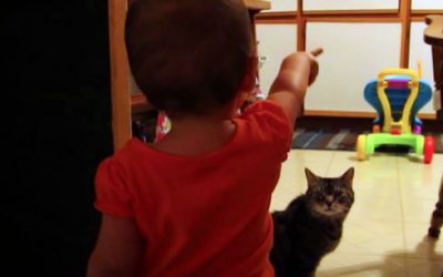 Daddy Finally Captures His Baby and Cat’s Funny Morning Ritual