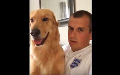 He Tells His Dog He’s Going To Have a New Brother. The Dog Turns and Makes The Most Hysterical Face.