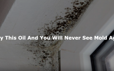 If You Spray This All Natural Oil You Will Instantly Get Rid Of That Gross Mold For Good.