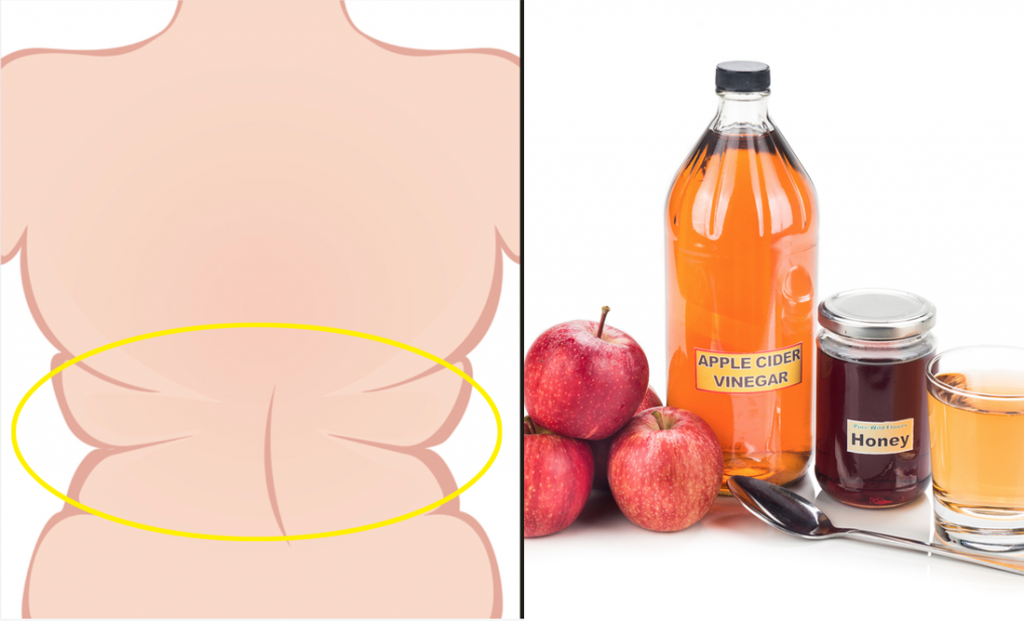 The Health Benefits Of Consuming Apple Cider Vinegar And Honey In The A