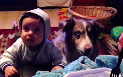 Parents Try To Get Their Baby To Say Mama. But Listen To The Dog’s Hysterical Response.
