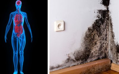 6 Signs You Have Mold Illness and May Not Even Know It!