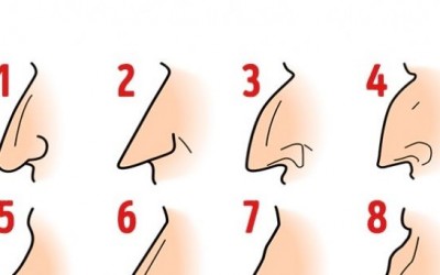 What Does Your Nose Shape Reveal About Your Personality?