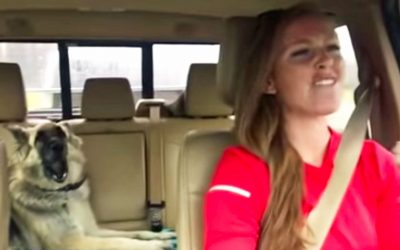 It Was Just a Normal Road Trip For This Duo Until The Radio Started Playing Freddy Mercury.