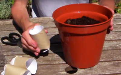 10 Gardening Life Hacks Everyone Should Know.