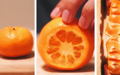 Apparently I’ve Been Peeling Oranges Wrong My Entire Life. This Is So Good To Know.