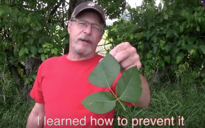 The Simplest Way To Never Get Poison Ivy Again. This Is Such an Awesome Life Hack.
