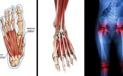 4 Foot Exercises That Will Get Rid of Lower Back Knee and Hip Pain In Under 20 Minutes Per Day.