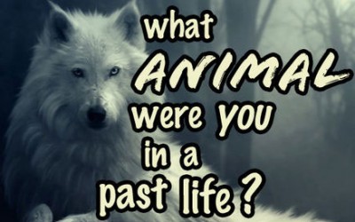 What Animal Were You In A Past Life? Find Out.