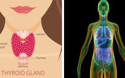13 Signs and Symptoms You Have a Thyroid Condition and May Not Even Know It.