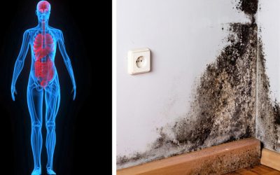 7 Signs and Symptoms You Have Mold Illness and Do Not Even Realize It. Good To Know.