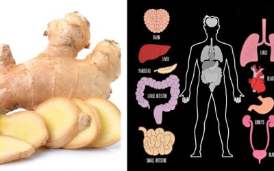 If You Eat Ginger 1x Per Day For a Month This Happens To Your Body!