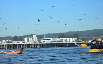 Video: Mom Is Filming Her Daughter Paddle Out Into The Ocean. What She Caught Is Terrifying!