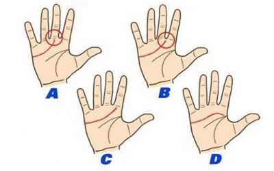 What Does The Heart Line On Your Hand Reveal About Your Life?