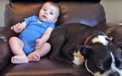 Cute Little Baby Poops Her Pants. Now Watch The Pup’s Face When He Notices.