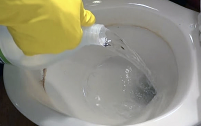 He Pours A Bottle Of Vinegar Into The Toilet. The Reason Is Totally Brilliant!