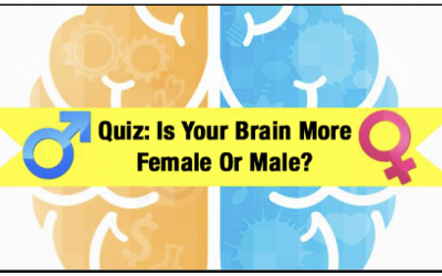 Is Your Brain More Female or Male?
