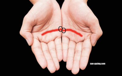 Bring Your Palms Into This Position If These 2 Lines Touch It Means THIS!