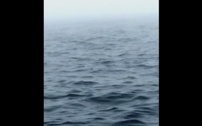 They Were Just Filming The Water. What They Caught At :09 Seconds Is A Once In A Lifetime Moment!