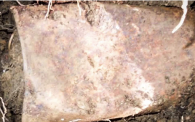 They Found a Strange Tin In Their Yard. The Unexpected Surprise In It Would Change Their Life!