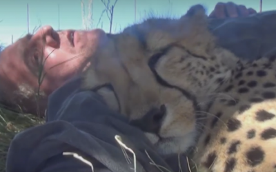 This Guy Decides To Take A Nap Under A Tree Then The Weirdest Thing Happens!