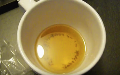 THIS One Simple Trick Will Get Rid Of Those Annoying Fruit Flies and Gnats For Good!