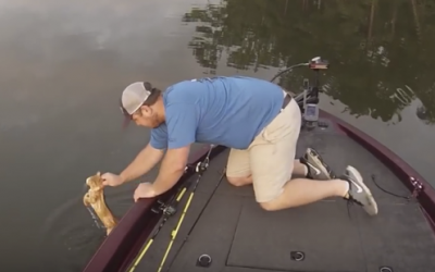 Two Fisherman Noticed Something Strange Paddling Toward Their Boat. But They Never Expected THIS