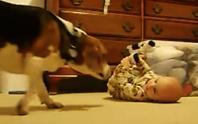 Mama Put A Hidden Camera In This Room. THIS Is What The Camera Caught The Dog Doing To The Baby!