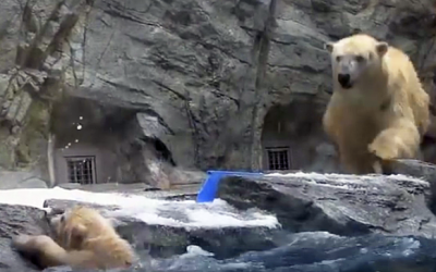 THIS Baby Falls Into The Water and Can’t Swim. Now Watch Her Mom’s Unexpected Reaction!