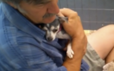 Neglected Dog Was Never Touched In Her Life. Watch Her Reaction When She’s Held For The First Time!