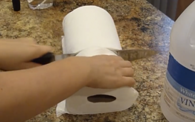 She Slices A Paper Towel Roll In Half Then Submerges It In Vinegar. The Result Will Save You Money!