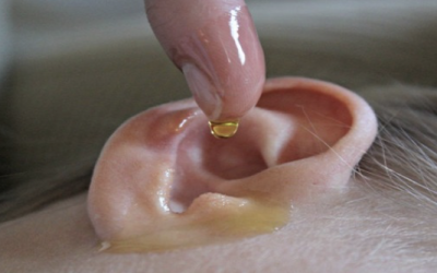 THIS Is What Happens When You Place White Vinegar and Alcohol Inside Your Ear For 60 Seconds