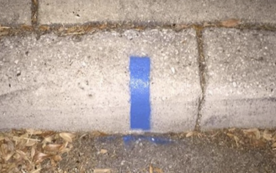 If You Notice A Thin Blue Line Painted On The Curb In Front Of Your House. It Means THIS