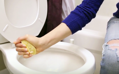 She Sprinkles Salt On A Lemon Then Squeezes The Juice Into The Toilet. But The Reason Is Brilliant!