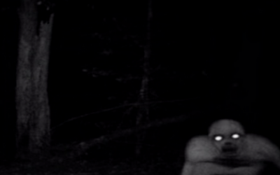 He Set Up A Hidden Trail Cam To Catch Poachers. But What The Cam Caught Is An Unexpected Surprise!