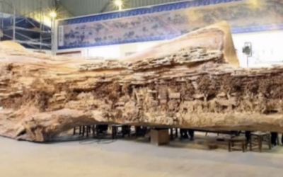 At First I Thought It Was An Old Decayed Tree. But When The Camera Zoomed In WOW!