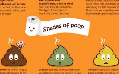 Apparently THIS Is What Your Poop Is Telling You About Your General Health!