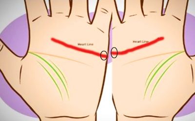Bring Your Hands Together And See If These 2 Lines On Your Palms Line Up.