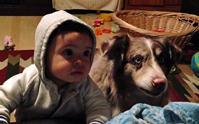 Parents Try To Get Their Baby To Say Mama. But Listen To The Dogs Unexpected Response!