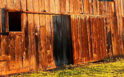 Inside This Old Texas Barn There Was A $700,000 Treasure That Sat Unseen For Over 40 Years!