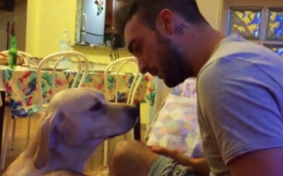 Guilty Dog Gets Caught In The Act. His Reaction When His Human Finds Out Priceless!