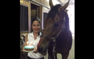 They Sing This Horse ‘Happy Birthday’ and Bring Him A Cake. His Response Is Hilarious!