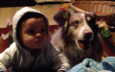 They Attempt To Get Their Baby To Say His First Words. But What The Dog Says Is Hysterical!