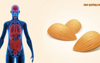 If You Eat 12 Almonds a Day THIS Happens To Your Body