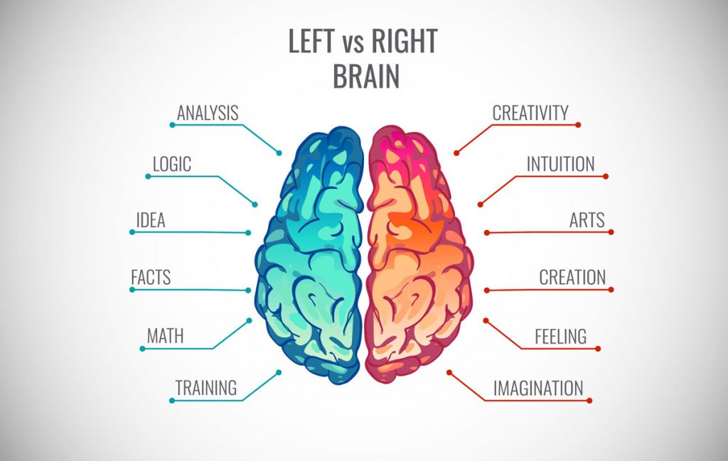 which-side-of-your-brain-is-more-dominant