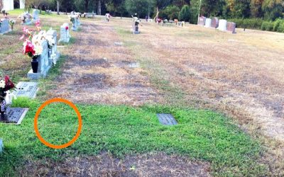 Mom Is Baffled and Confused Why Her Son’s Grave Is Green.