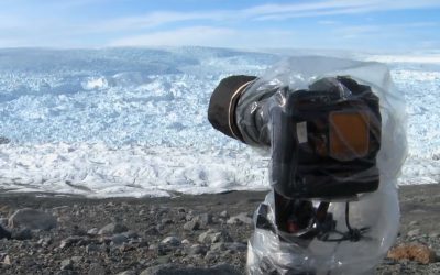 They Brought a Camera To A Secluded Area In Greenland. What They Recorded Is Simply Horrifying!