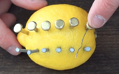 THIS Guy Hammers Nails Into This Lemon. The Awesome Reason Could Save Your Life!