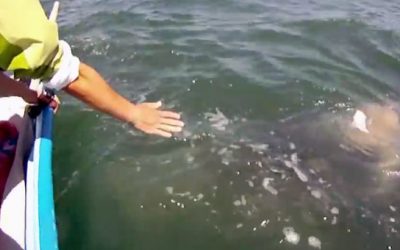 She Sticks Her Hand Into The Water. But Everyone On The Boat Is Stunned When The UNTHINKABLE Comes Out!